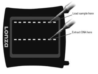 Picture of FlashGel Recovery Buffer 2 x 500 µl